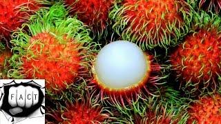 Top 10 Rarest & Tastiest Fruits In The World