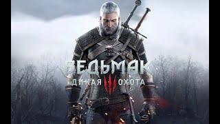 The Witcher 3: Wild Hunt #2