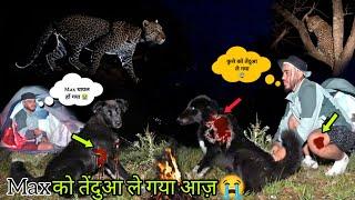 Night camping In Dangerous Forest | Leopard ने मैक्स पर attack कर दिया | Leopard Close To Camping 