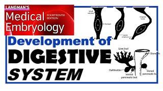 Langman Chapter#15 | Embryology of Digestive System | Dr Asif Lectures