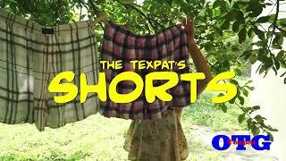 America's Ponzi Scheme --Social Security?   [Texpat's Shorts: #006]