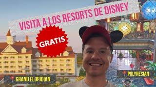 Disney Orlando Resort Visita Gratis