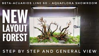 Step-by-step of Beta-Acuarios Line 60 at Aquaflora Showroom | Diorama forest aquascape