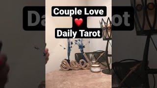 Couple Love Daily Tarot Love A Higher Level of Commitment