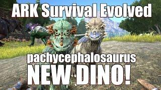 ARK: Survival Evolved - New Dino! - Pachycephalosaurus Pachy Kibble Tame!