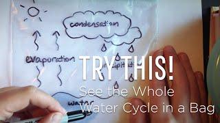 Try This: See the Water Cycle in a Bag | #SMOatHome