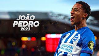 João Pedro is Showing His Talent at Brighton