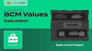 BCM Values Calculator (Audi BCM2) Read | Immo Bypass Toolbox | CarLabImmo