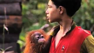 Born among orangutans /Né parmi les Orang-outangs