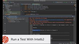Run a Test with IntelliJ