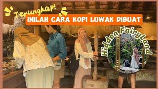 Pertama Kali ke Bali | Part 2 - TerungkapInilah Cara Kopi Luwak Dibuat • Ada Hidden FairyLand