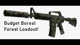 BUDGET BOREAL FOREST LOADOUT! (CS:GO) (2023)