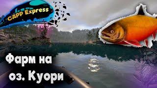 Быстро делаю тысячу на Куори. / СДРР Express ( Русская рыбалка 4 )