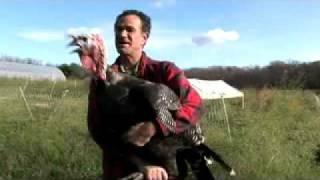 Top 5 Favorite Turkey Facts