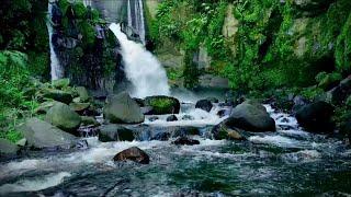 Beautiful Enchanted Forest Waterfall Sounds  Waterfall River Sound for Sleeping Relaxation & Stress