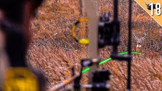 Buck Drops in his tracks CRAZY SHOT - Spot and Stalk Whitetail