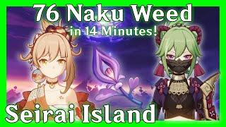 76 Naku Weed In 14 Minutes Seirai Island | Genshin Impact - Material Farm ( How to Farm )