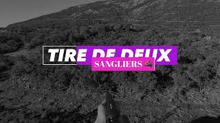 Chasse aux sangliers en corse du sud #1