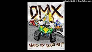DMX ft.Swizz Beatz - Get It On The Floor (BIGR Extended Mix) (432hz)