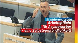 Erwiderungsrede - Eine Arbeitspflicht für Asylbewerber: Jetzt!