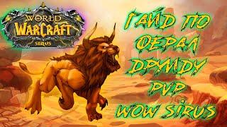 Новейший Гайд по Ферал друиду PVP! WoW Sirus 8 сезон!