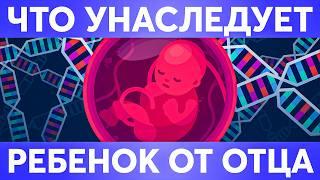 ЧТО ПЕРЕДАЕТСЯ ОТ ПАПЫ И МАМЫ ДЕТЯМ | Какие гены передаются детям от папы, а какие от мамы?