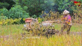 Traktor Sawah Libas Semak Belukar Dan Jerami Tinggi