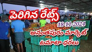 today Anantapur tomato market rates/Today tomato price/ Anantapur tomato rates #agriculture