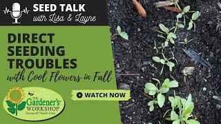 Seed Talk #108 - Direct Seeding Troubles with Cool Flowers in Fall