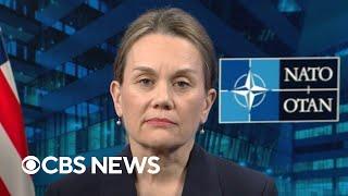 U.S. ambassador to NATO on member spending expectations