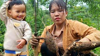 15-day process of harvesting agricultural products, building a farm to raise more ducks,