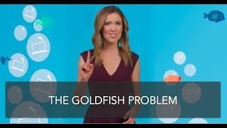 The Goldfish Problem