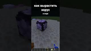 minecraft - как вырастить плод хоруса в краю