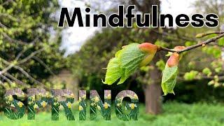 Spring Mindfulness - Positive Mental Health | Peaceful | Outdoors Adventure | Hiking | Wild Camping