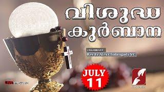 HOLY MASS LIVE @ 6 AM, 11 JULY 2024|Fr Alex Chalangady VC|MALAYALAM QURBANA|TODAY MASS|GOODNESS TV