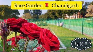 Rose Garden  Chandigarh || Tourist Places of Chandigarh || Chandigarh || vlog pedia