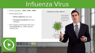 Respiratory Tract Infections: Influenza Virus – Respiratory Medicine | Lecturio