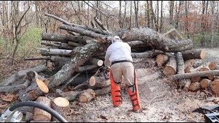 #602 Kickback, and Three Other Dangers to Consider While Cutting into Log Pile