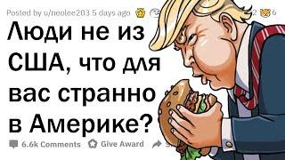 НЕамериканцы, что вас БЕСИТ В США? 