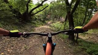 Secret MTB Jump Trail + Fuel EX 8 Gen 6 Review