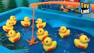 Lucky Duck for Children  Fishing Videos for Children  Fishing for Kids | TOYLAND