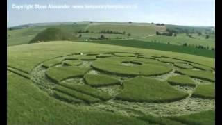 crop circle Silbury Hill Wilts, UK, 2010