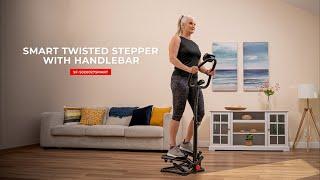 Smart Twisted Stepper with Handlebar: SF-S020027SMART