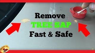 How To Remove TREE SAP, TAR & GLUE in Seconds AMAZING !!