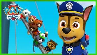 Resgate Especial: Os Cães Salvam os Gatos Reais e mais! Patrulha Pata PAW Patrol Episódio Português