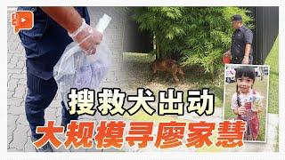 廖家慧失踪逾36小时 警出动搜救犬