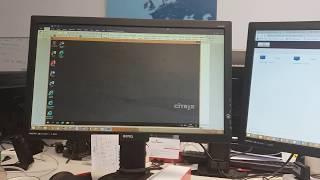 How to use 2 monitors with Citrix