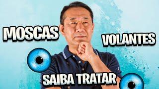 Moscas volantes nos olhos como cuidar?