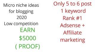 Most PROFITABLE MICRO NICHE TOPIC/IDEA FOR BLOGGING 2020 ( #1 on Google) Earn $5000 Adsense PROOF