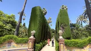 #Seville Real Alcazar | Royal Alcazar Gardens | The Grotto Gallery | observing tour.